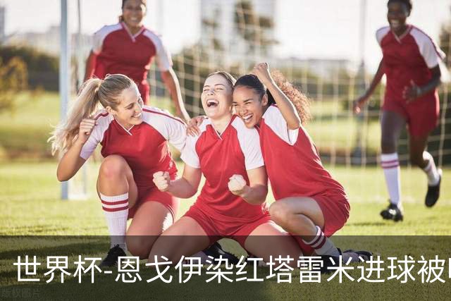 世界杯-恩戈伊染红塔雷米进球被吹 10人比利时0-0伊朗